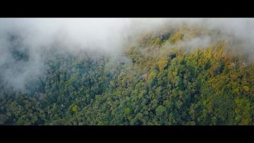 100位侠士齐聚我家是种什么样的体验？更有泠音惊艳水下舞蹈曝光，感受神女之美！