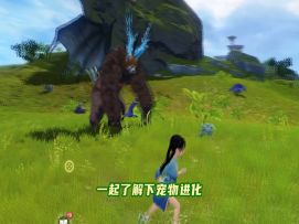 【妄妄攻略第18期】宠物进化介绍