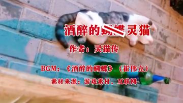 【灵猫馆】“怎么也飞不出，猫猫的世界”周末来临，和灵猫一起唱KTV~