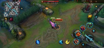 职业经理人 蒙多 皮肤局内展示