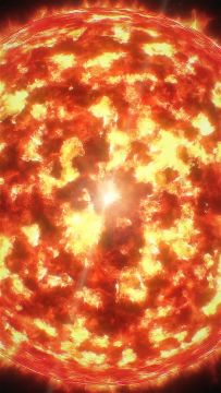 召唤兽-不死鸟C