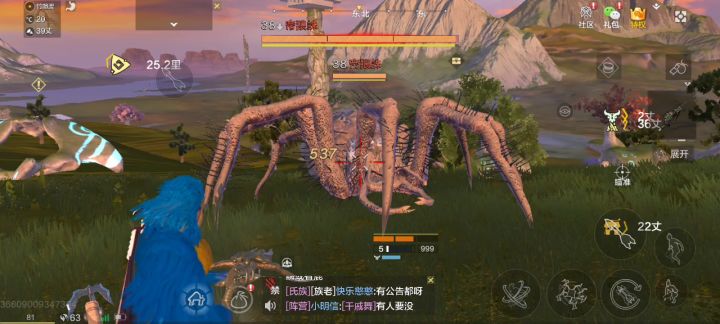 4万战力鹦鹉打不过一小蜘蛛截图