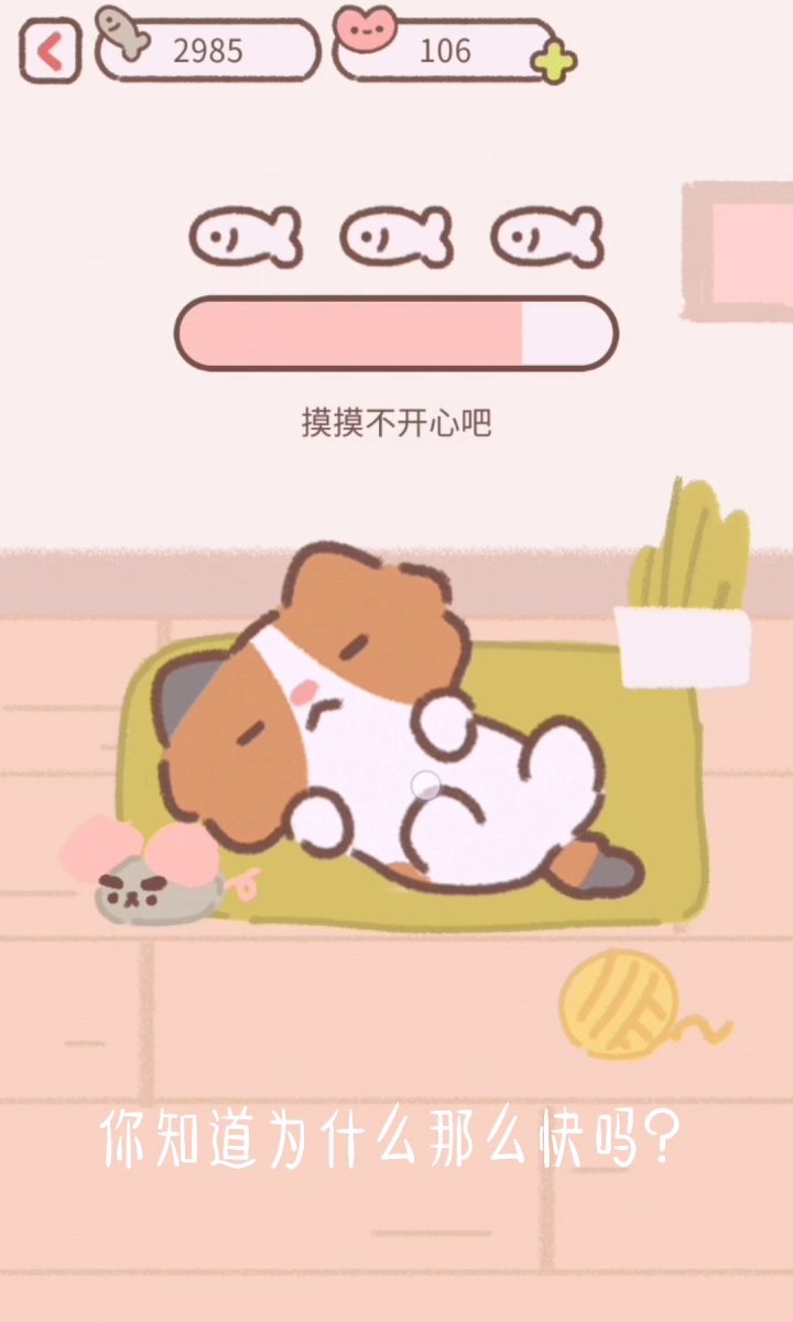 如何快速的摸完一只猫?截图