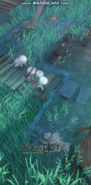 【有奖活动】我们0.5周年了！