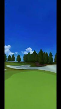 新手一杆进洞哦