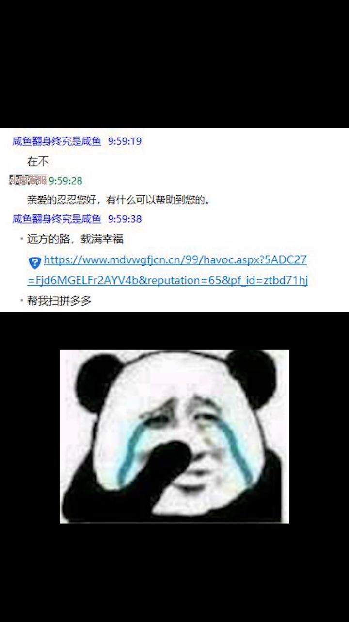 论小白客服是如何工作的截图