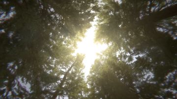 《黎明觉醒》终极测试，今日正式开启！