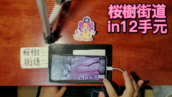 一位精神小伙游玩樱树街道,这是摄像头偷拍的画面截图