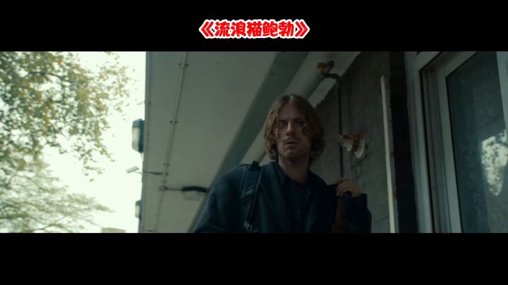 流浪猫和流浪汉的故事是否有感动到你?当你人生进入低谷也别放弃,幸福总会来临的截图