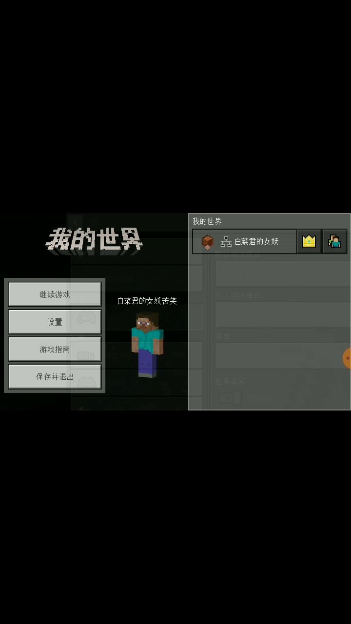 video-2085208