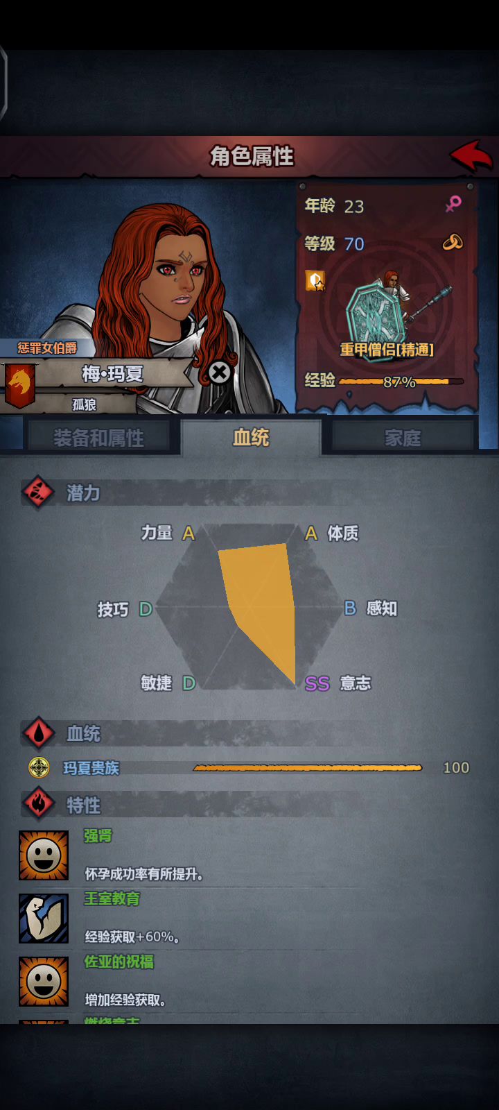 打威利的低配(应该是吧)圣剑打法截图