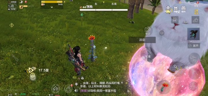 这是什么bug？截图