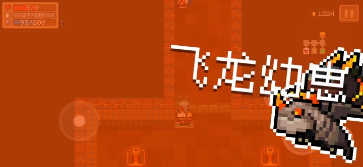 30护盾正面刚双龙截图