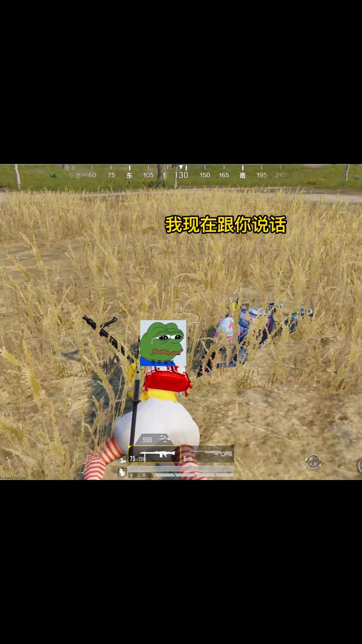 我不是想看hs,只是想长KD截图