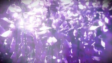 【阴阳师：百闻牌】紫藤摇曳，浮世忘忧，百闻牌全新资料片即将上线！