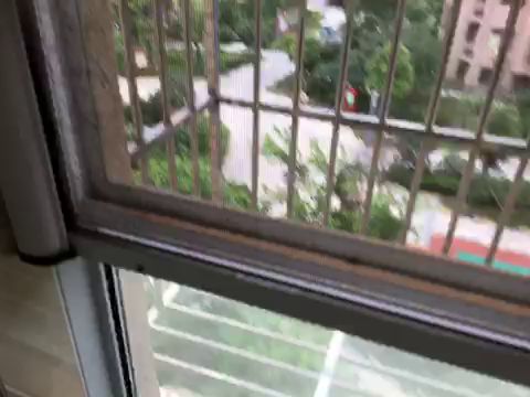 video-2106499