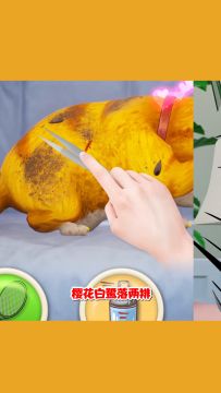 各位吸猫官喜欢哪只猫咪呢？