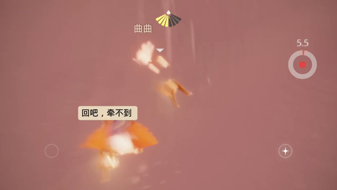 video-2143271