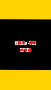 哎呀呀，喵喵班开学了，让小猫咪来给大家自我介绍一下吧。听说有转学生，猜猜是谁？