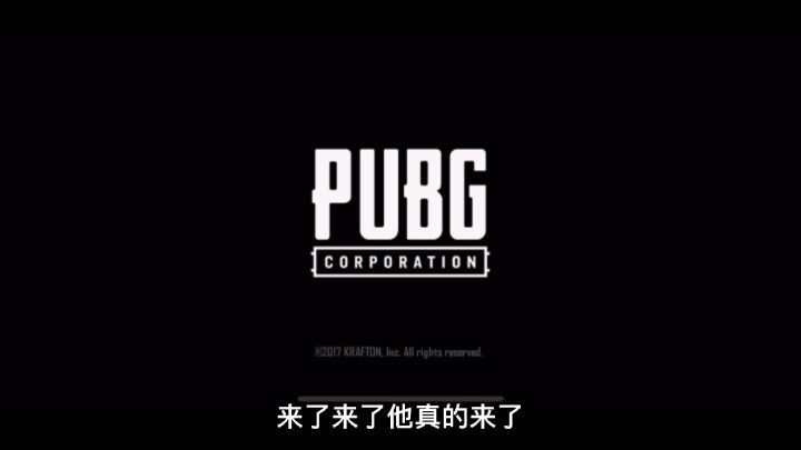 国际服吃鸡截图