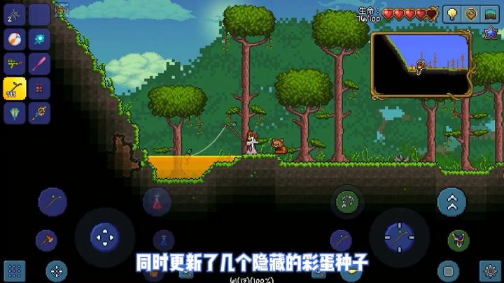 《泰拉瑞亚》彩蛋种子(1)全丛林蜂巢地图截图