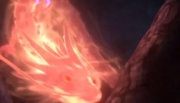 全新高招S忍药师兜招募动画抢先看！