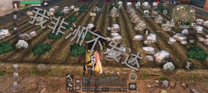 金坷垃截图