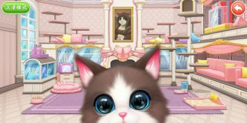 还有比撸猫更快乐的事儿吗？