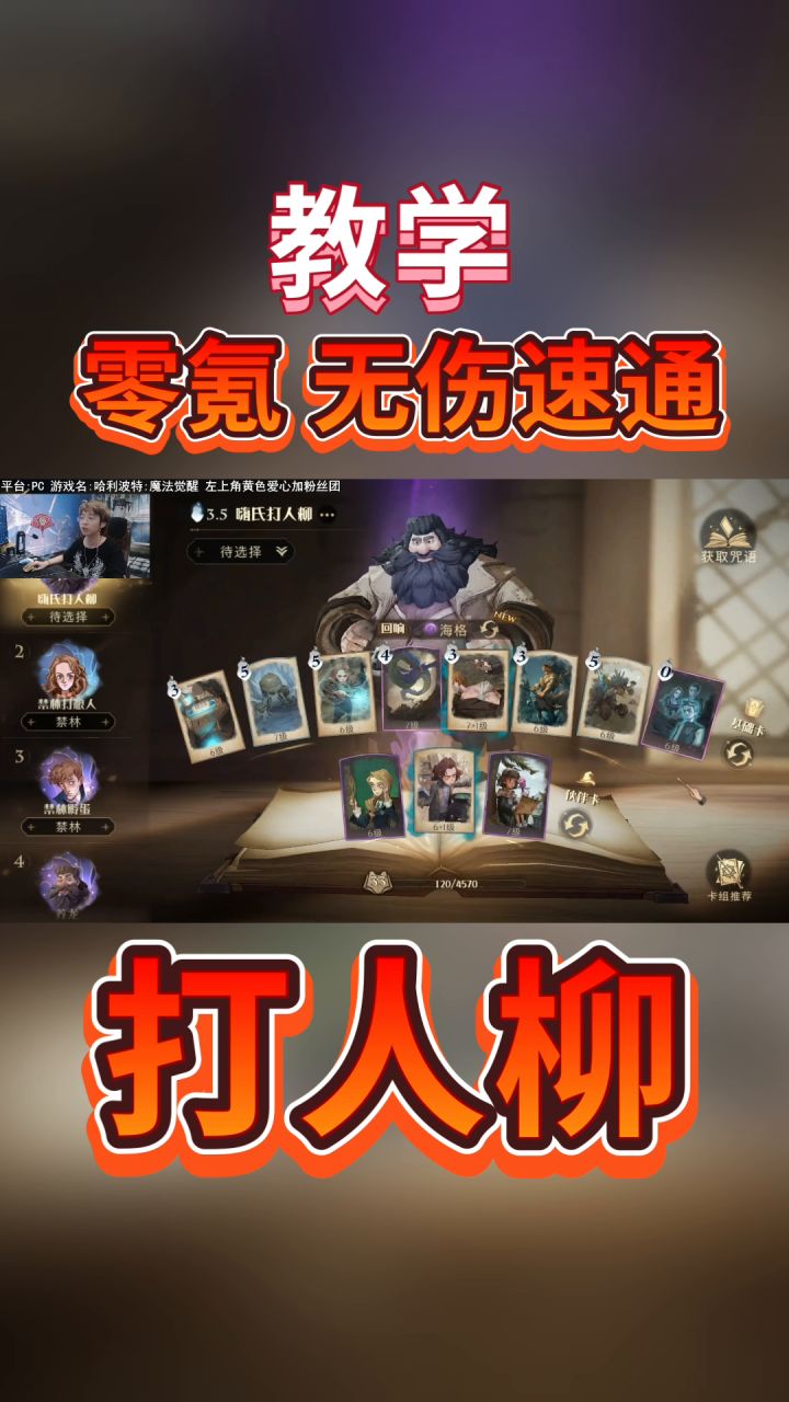 【搬运】嗨氏-胎教级平民无伤速通打人柳教程截图