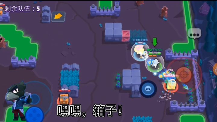 乌鸦和伯哥还是那么可爱截图