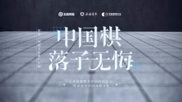 【神 仙 对 弈】天才少年VS围棋国家队，谁会赢呢？