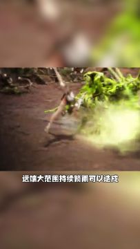 黑沙情报局丨游侠职业技能介绍大放送！