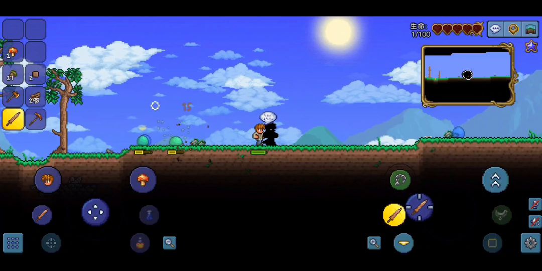 video-2188902