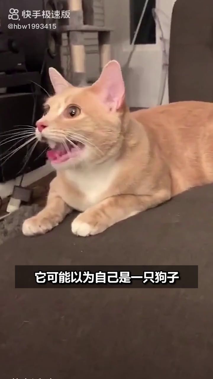 🤔🤔🤔截图