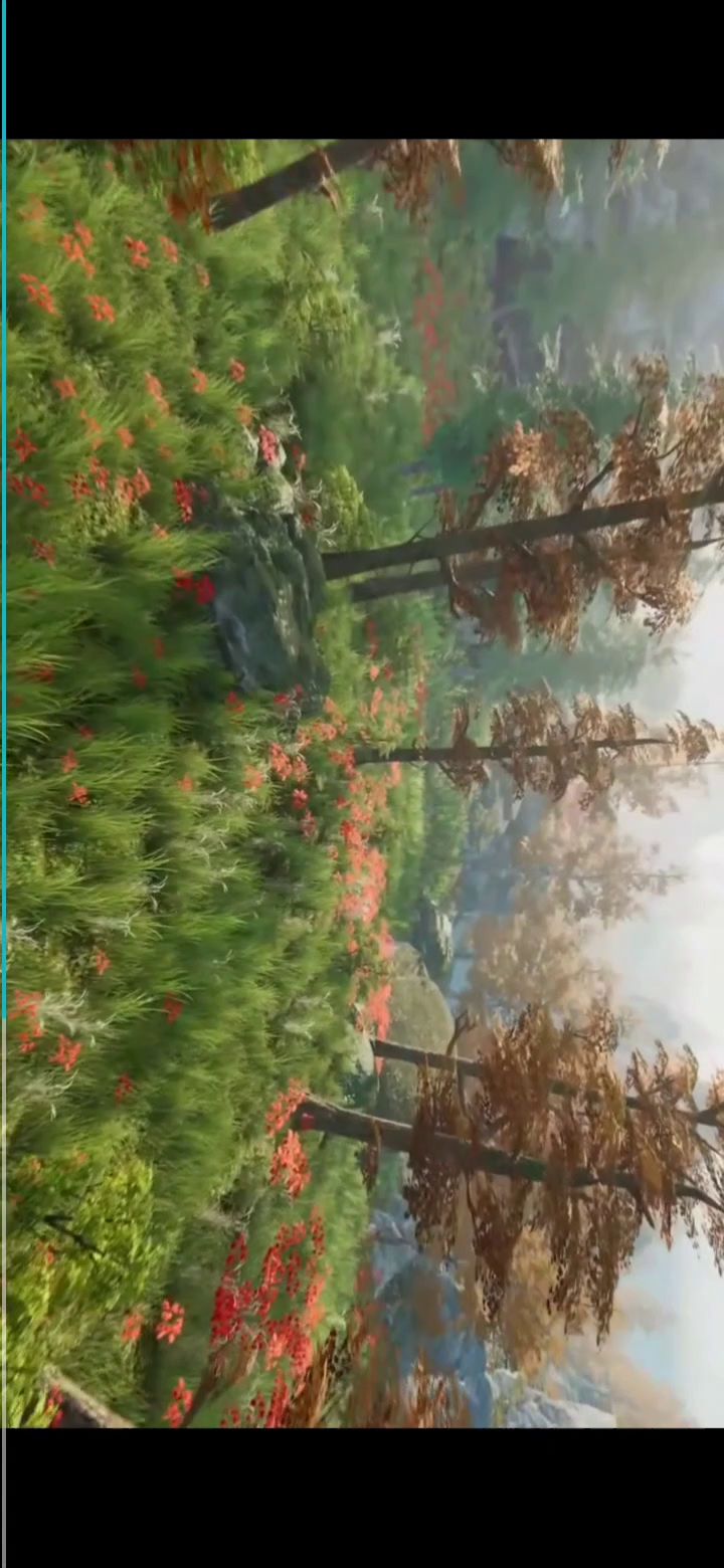 这游戏的画面,真美,截图