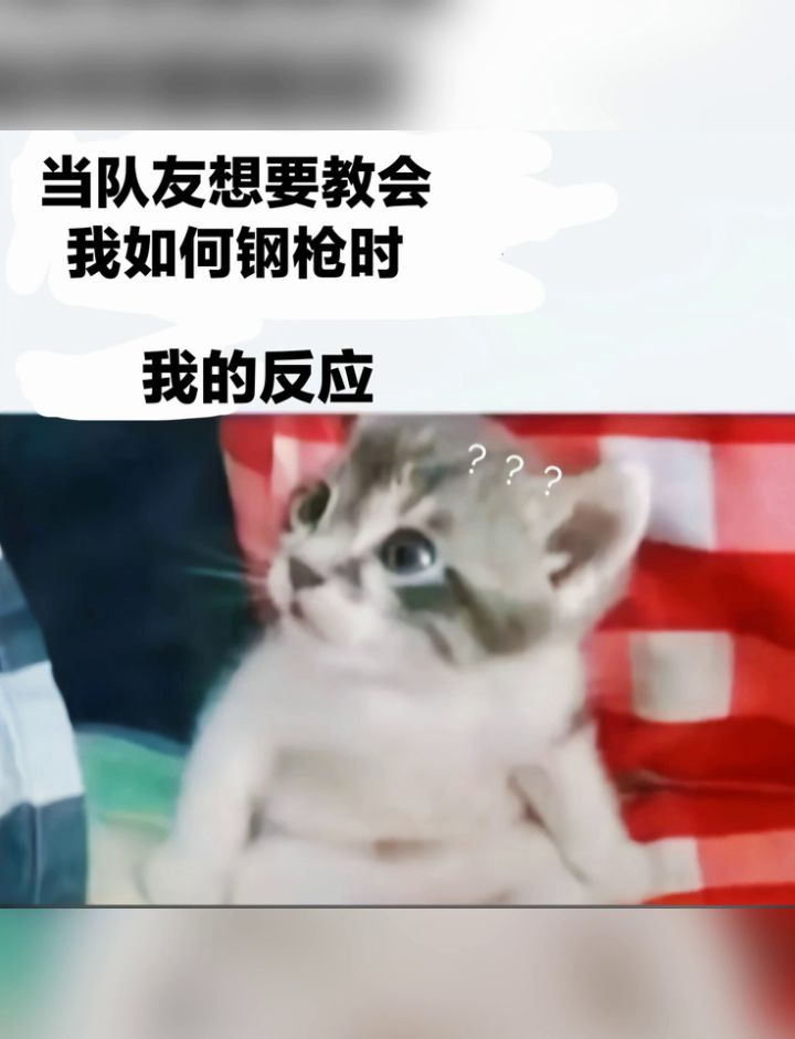 视频内容超级真实 😂一定要看截图