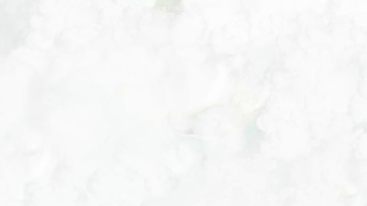 我从未见过…………截图