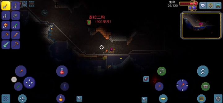 玩泰拉瑞亚联机没想到……截图