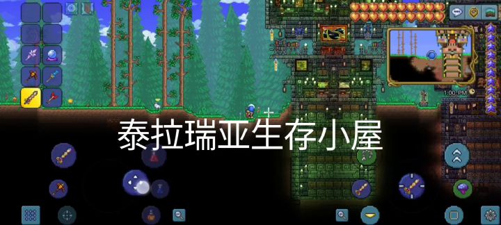 泰拉瑞亚生存小屋截图