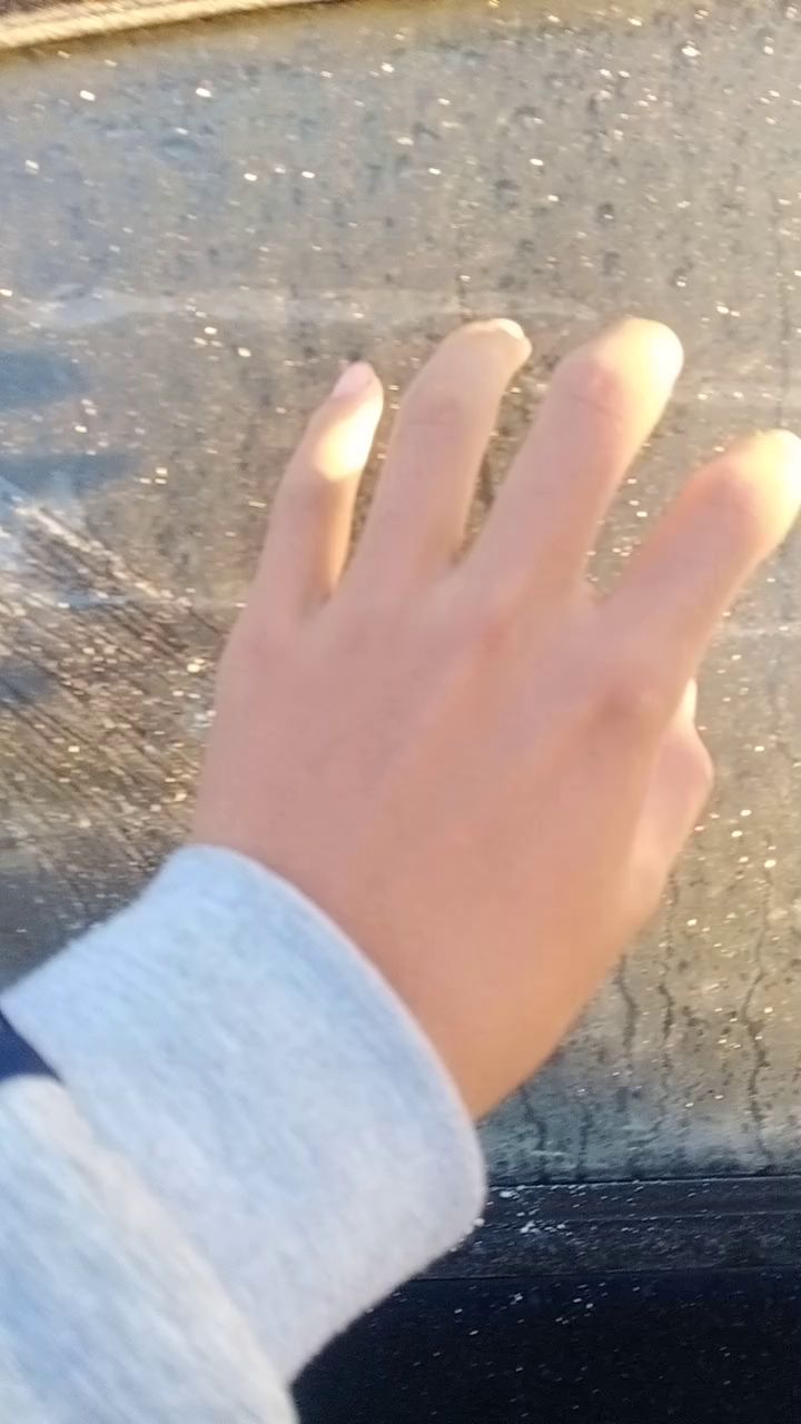 汽车上结的霜截图