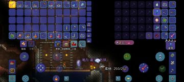 泰拉瑞亚攻略篇EX3：二次探索，草药种植与信息配饰