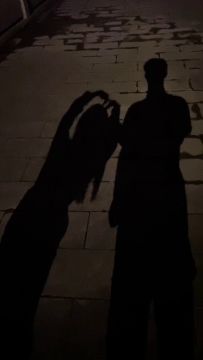 【预祝我的侠客生日快乐，一位普通玩家的自白】