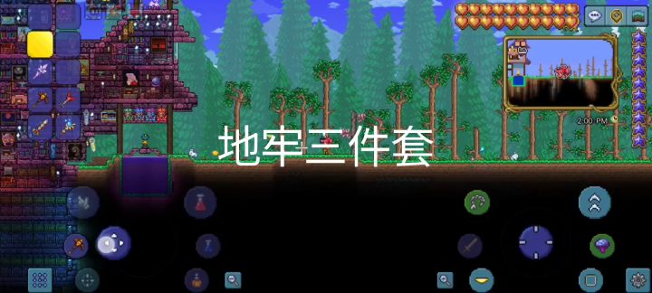 泰拉瑞亚生存小屋(地牢三件套)截图