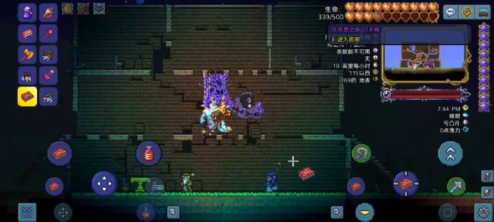 国服泰拉10.10凌晨群员举报封禁反馈 1截图