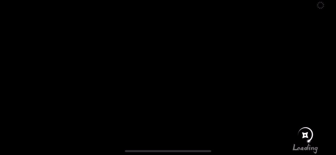 video-2211079