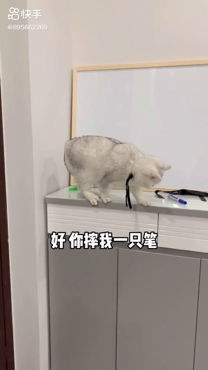 搞笑视频截图