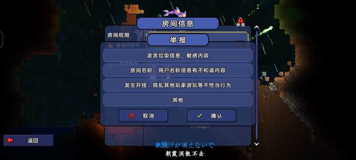 国服泰拉10.16日违规游戏玩家反馈 2截图