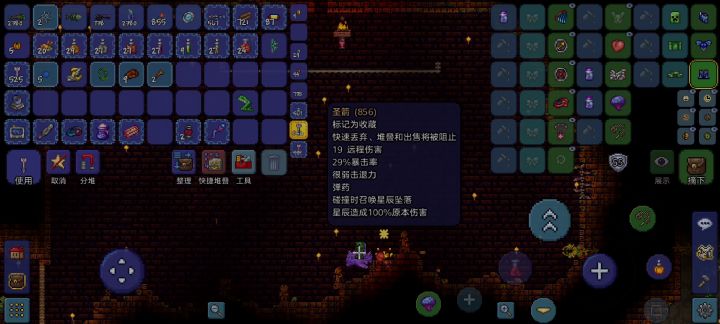 肉后boss攻略第六篇《石巨人》普通模式~射手流截图