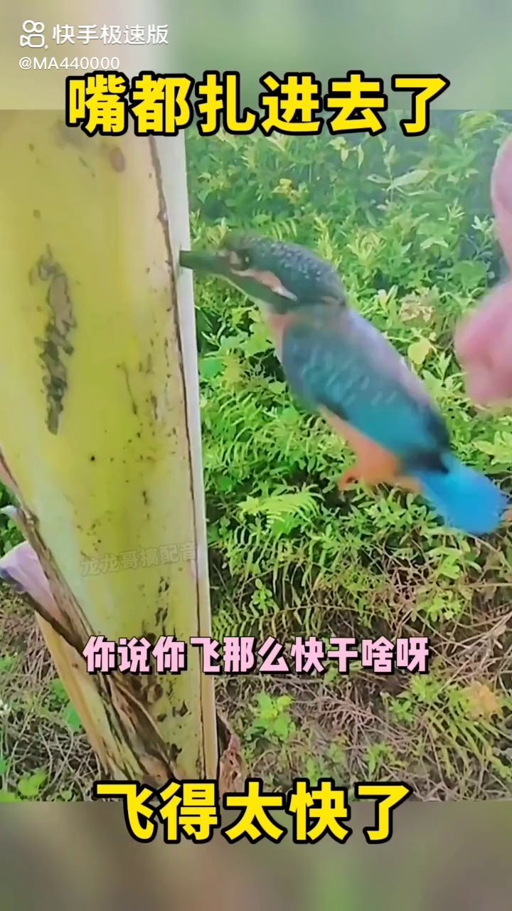 作者:龙哥截图