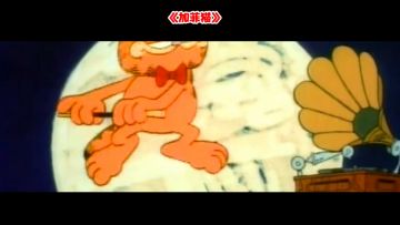这是不是你人生中看的第一只喵